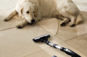 Carpet Cleaning Methods Carpet Cleaning Methods