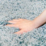 carpeting myths