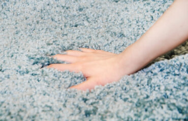 carpeting myths carpeting myths