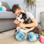 stain resistant carpet for pets and kids