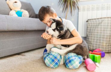 stain resistant carpet for pets and kids