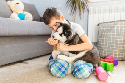 stain resistant carpet for pets and kids