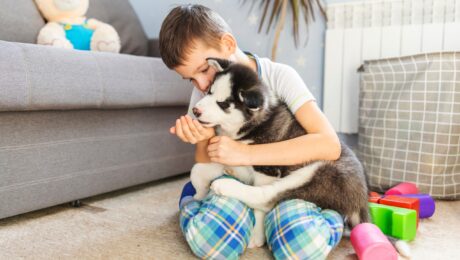 stain resistant carpet for pets and kids